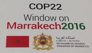 مراكش - COP22