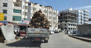 سيارة تحمل احطاب في العاصمة صنعاء