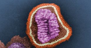 "Influenza virus" by Sanofi Pasteur is licensed under CC BY-NC-ND 2.0