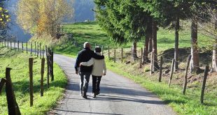 Free old couple walking together in the park image, public domain CC0 photo.More: View public domain image source here