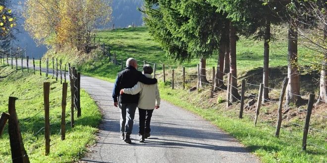 Free old couple walking together in the park image, public domain CC0 photo.More: View public domain image source here