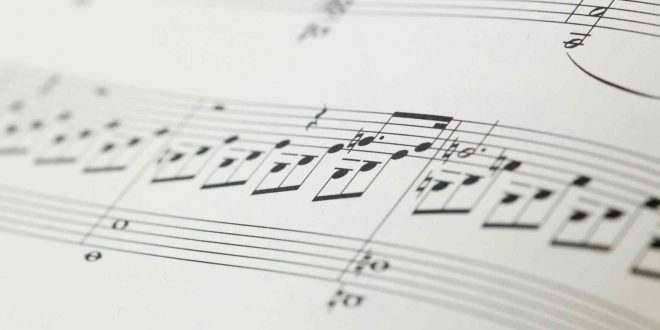 pexels-photo-4146641