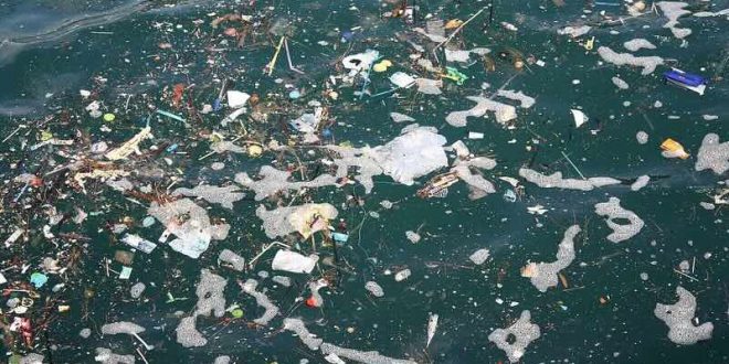 Free public domain CC0 photo.

More:

 View public domain image source here