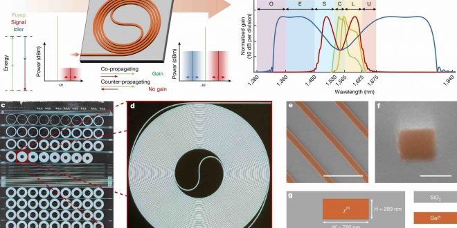 41586_2025_8666_Fig1_HTML