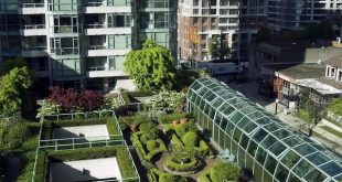 roof-garden-plants-architecture-buildings-9f3fd1-1024