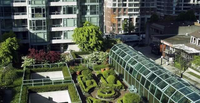 roof-garden-plants-architecture-buildings-9f3fd1-1024