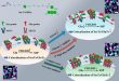Credit
Copyright © 2025 Pengwei Jiang et al.