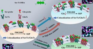 Credit
Copyright © 2025 Pengwei Jiang et al.