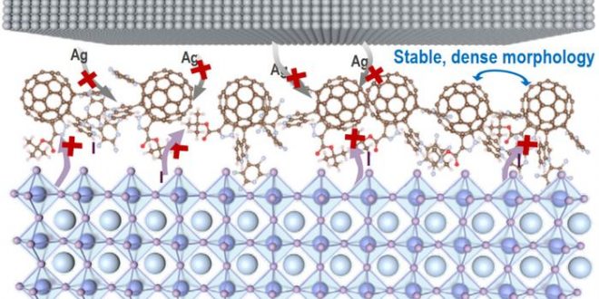 Credit: ©Science China Press