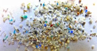 Microplastic