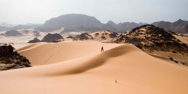 صورة من الساحل الأفريقي في السودان