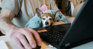 workfromhome