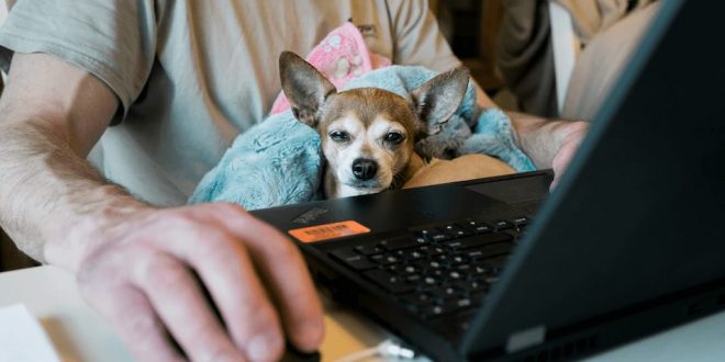 workfromhome